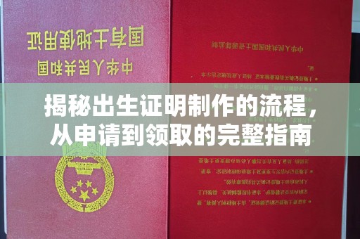 仁化揭秘出生证明制作的流程，从申请到领取的完整指南